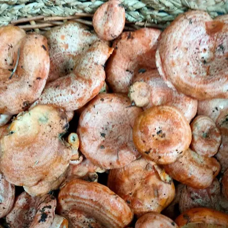 Casa vacanze El Caideron